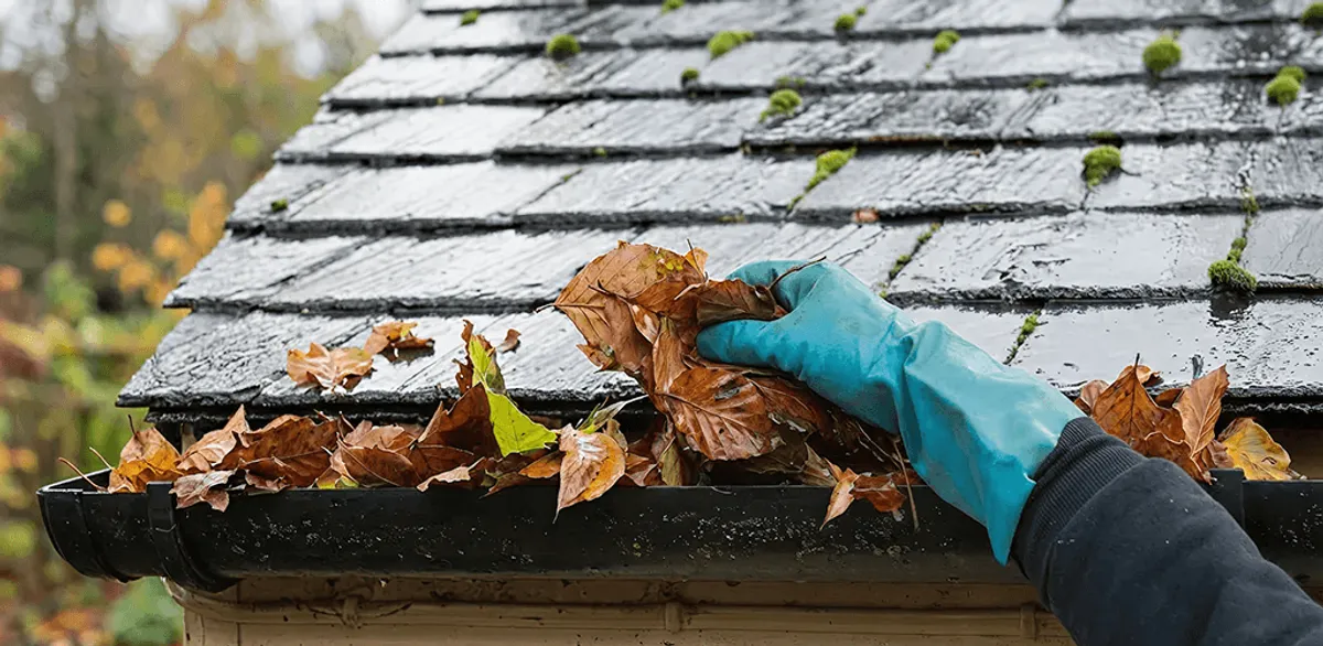 Gutter cleaning technician clearing wet leaves from roof gutters in Dallas, TX
